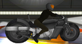 Male Rider